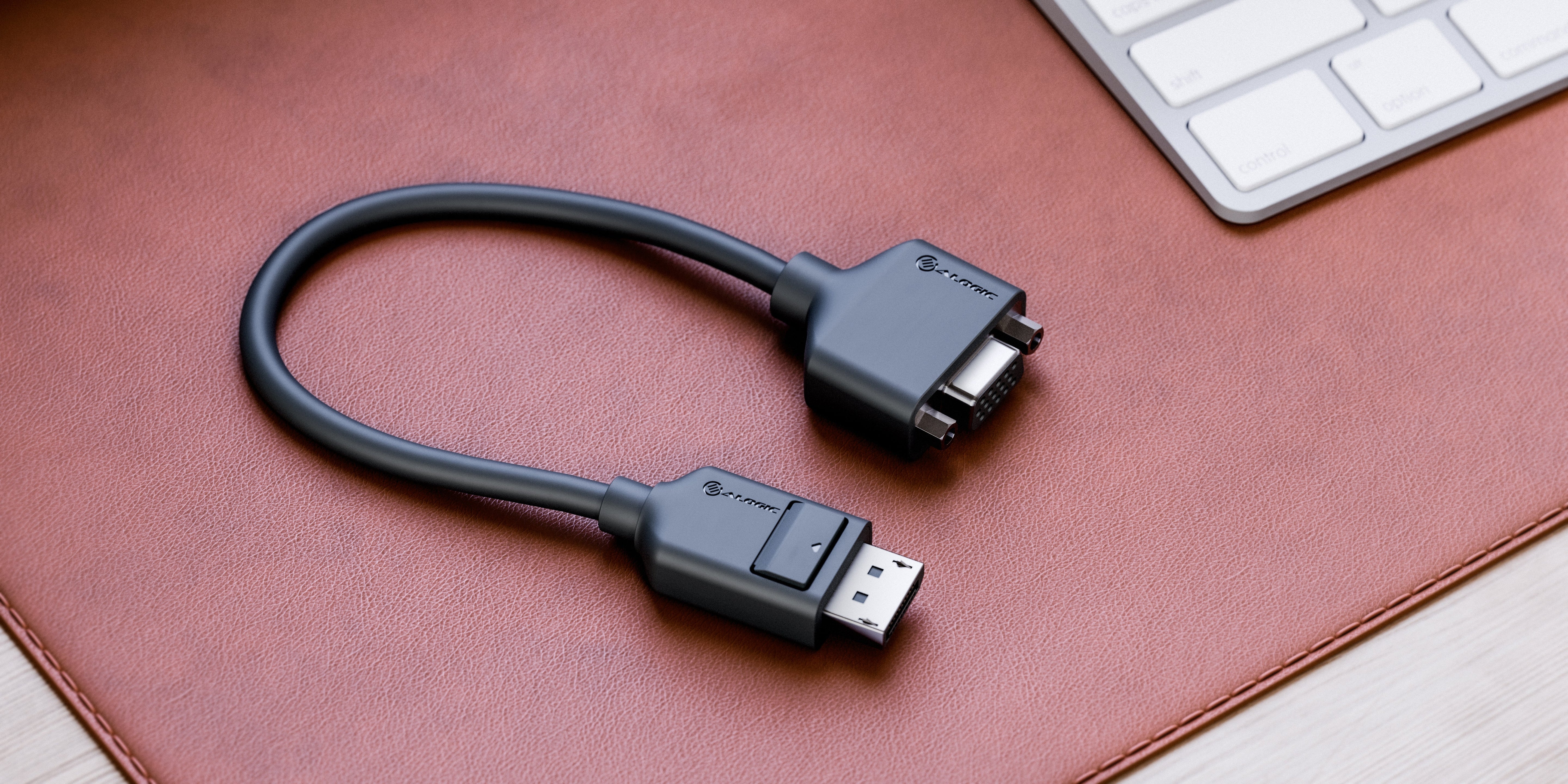 DisplayPort VGA Adapter