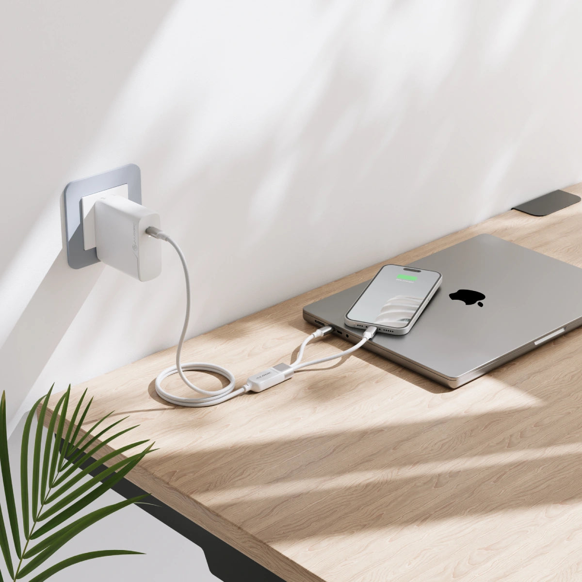 Split 100W USB-C to 2x USB-C Charging Cable