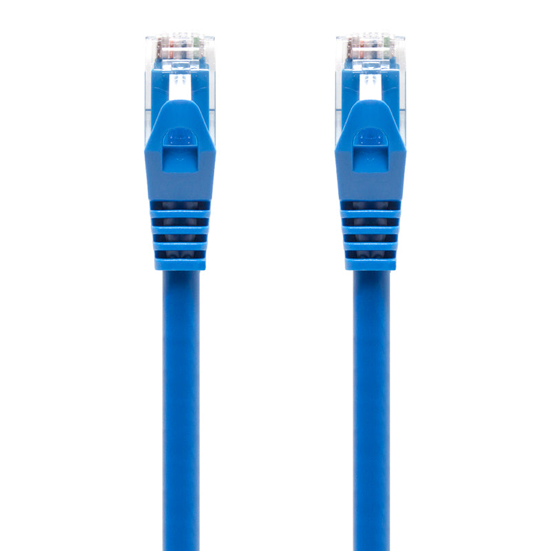 blue-cat6-network-cable_2